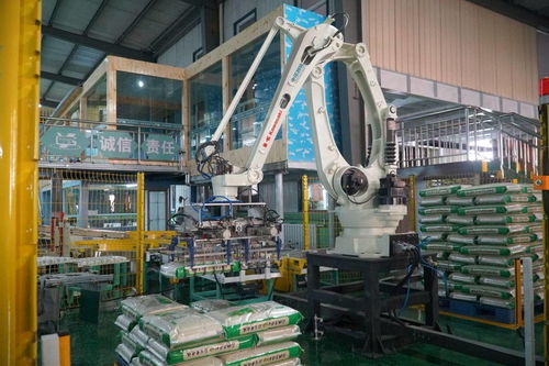 軟件技術開發(fā)賦能寧夏綠色食品產(chǎn)業(yè)，激發(fā)農(nóng)業(yè)新活力